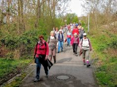 2019.04.17-06 Der Wanderweg verlief im Wald durch den Sperbelhau