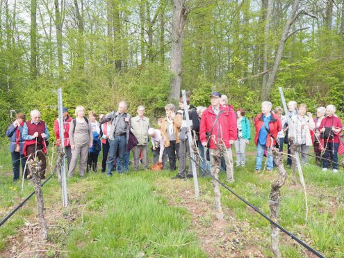 2019.04.17-10 Rainer Zahn erklärte die Aussicht.