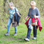 2019.04.17-13 Wieder verlief der Weg - leicht ansteigend - entlang des Waldrands.