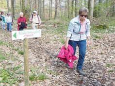 2019.04.17-18 Auf dem Willsbacher Waldlehrpfad.