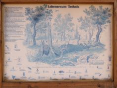 2019.04.17-19 Infotafel am Willsbacher Waldlehrpfad.