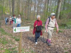 2019.04.17-21 Auf dem Willsbacher Waldlehrpfad.
