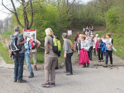 2019.04.17-22 Am Waldrand begann der Weg durch die Weinberge.